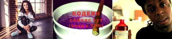 PSILOCYBIN Богданович