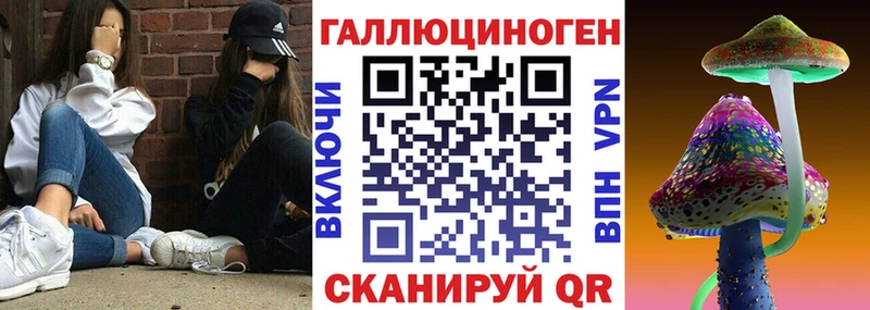 kraken маркетплейс  Магас  Галлюциногенные грибы Cubensis 