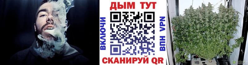 Конопля тримм  наркошоп  Магас 